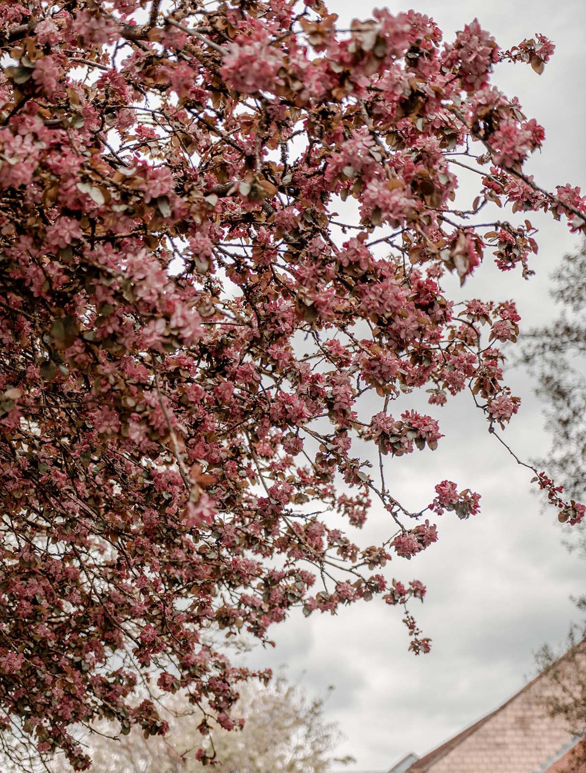 Hidden Gems in Yorkshire Family Weekend Away Best Places North Yorkshire Kids Family Day Out