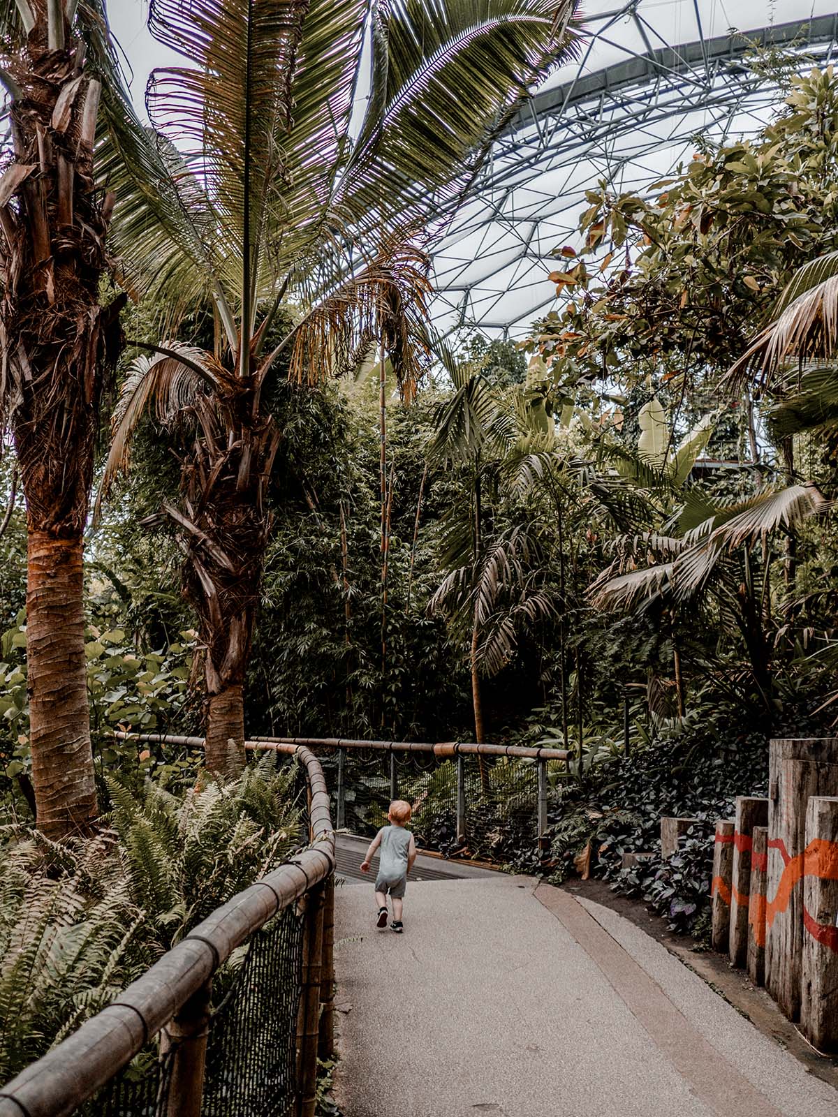 cornwall trip photo diary travelling travel family holiday