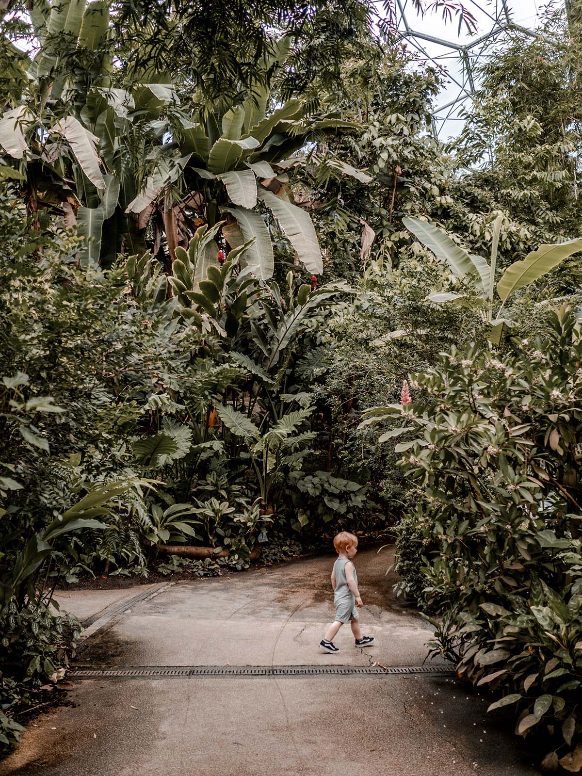 cornwall trip photo diary travelling travel family holiday