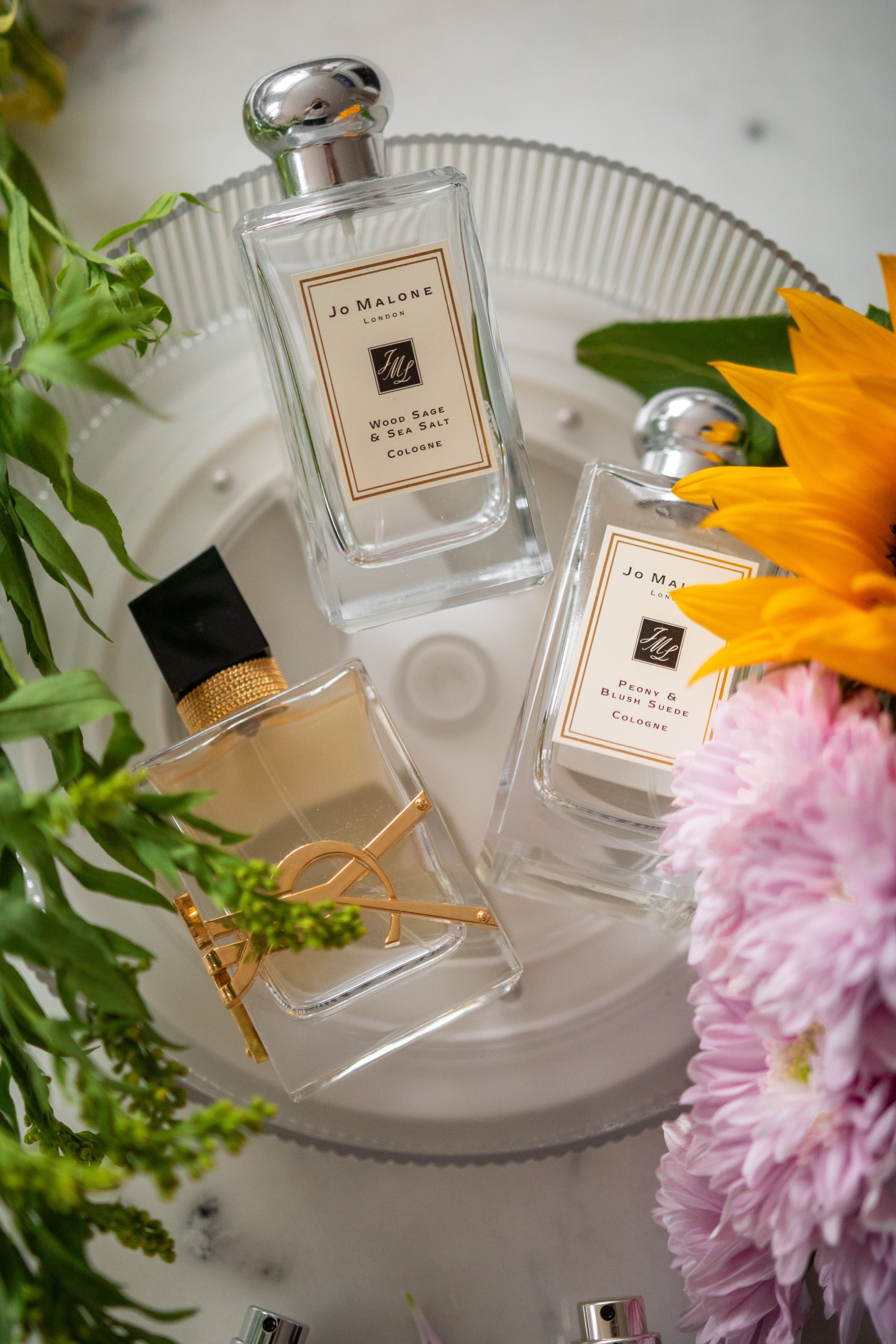 parfum dreams fragrances