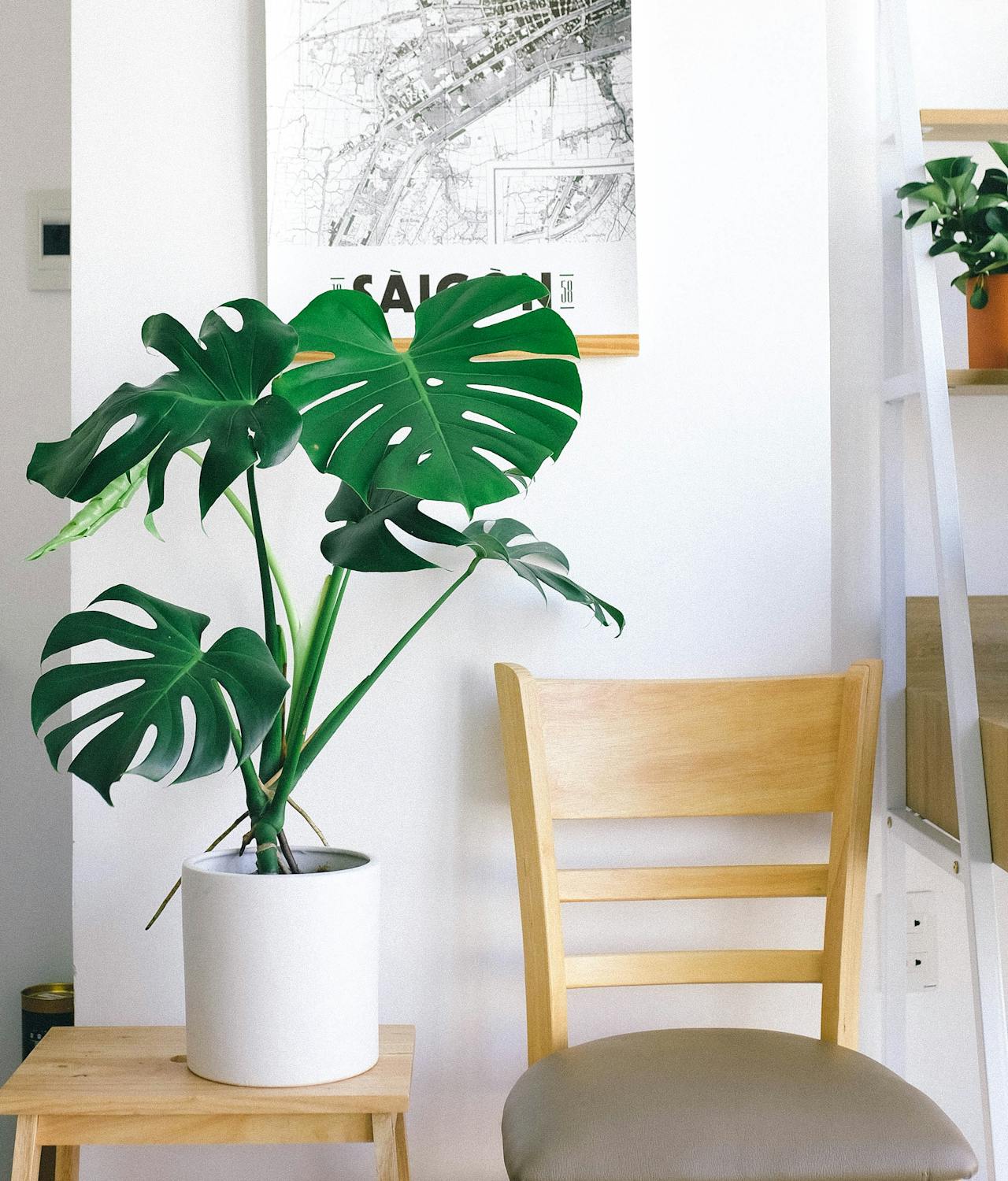 Brighten Up Your Home Naturally: Simple Tips for a More Inviting Space.
