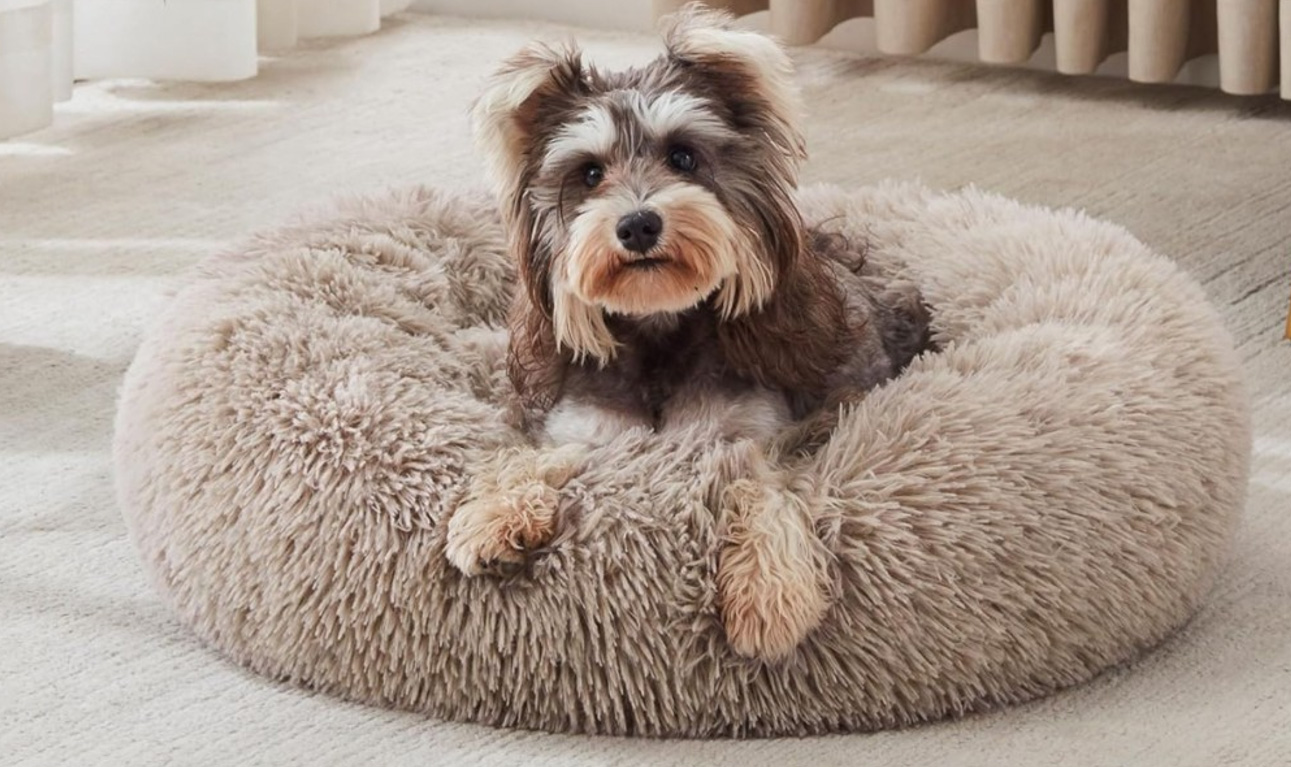 Sheepskin Dog Bed: What Makes It The Ultimate Canine Comfort.